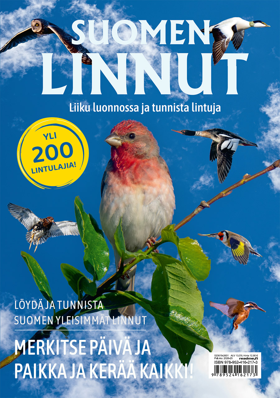 Suomen linnut - Liiku luonnossa ja tunnista lintuja kansikuva